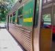 The 1979 Melbourne train carriage that Jeanette Hergenhan turned into a rainforest retreat.