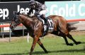 Speed machine: Houtzen raced to an all-the-way win in the Magic Millions Classic on Saturday.