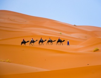 I visited the Sahara desert via the town of Merzouga in Morocco. The temperature was 45 degrees but I went for a long ...