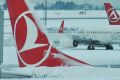 Turkish Airlines planes stationed at Ataturk International Airport.