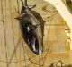 Japan's giant abattoir ship Nisshin Maru on Sunday with a harpooned minke whale on the deck.