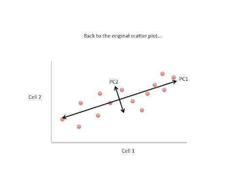 StatQuest: Principle Component Analysis (PCA) clearly explained