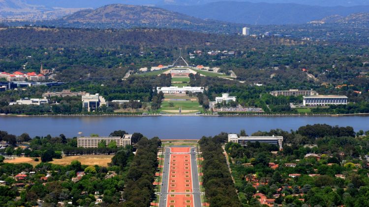 So many trees, so many hills, so many trails. Central canberra, taken from Mount Ainslie.