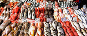 Fish Stall