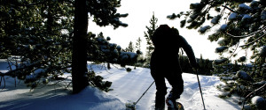 Alberta Snowshoeing