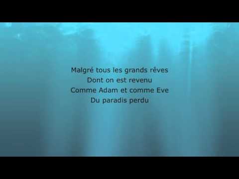 Celine Dion - On S'est Aime A Cause (Lyrics)