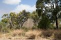 Residents fear the dust from the clearing of Roe 8 could contain asbestos.