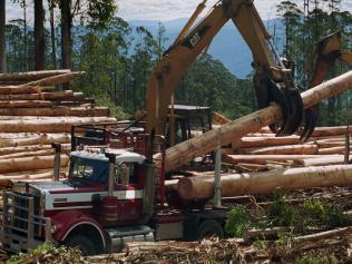 Mountain Ash, being loaded onto a logging truck by a log gripping crane at the Erica Forest District, ready to be sent to the Mill in Heyfield to be cut up for orders. Tree felling.