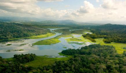 Rivers and forest in Panama Canal watershed