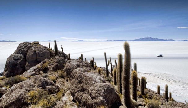 The salt flats seen from Fish Island.