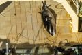 Japan's giant abattoir ship Nisshin Maru on Sunday with a harpooned minke whale on the deck.