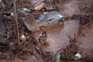 19 people were killed in the Samarco disaster.