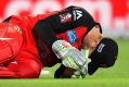 Peter Nevill of the Melbourne Renegades falls to the ground after being struck in the head by the bat of Brad Hodge of ...