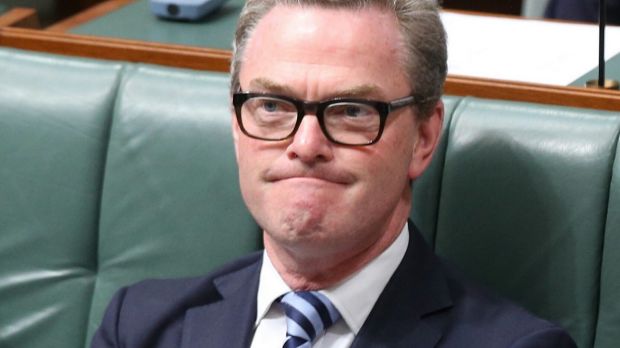 Christopher Pyne has been labelled a 'menace' by a Coalition backbencher for coveting Marise Payne's job.