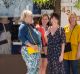Bridget Everett, Molly Shannon, Katie Aselton and Toni Collette appear in <i>Fun Mom Dinner</i> by Australian director ...