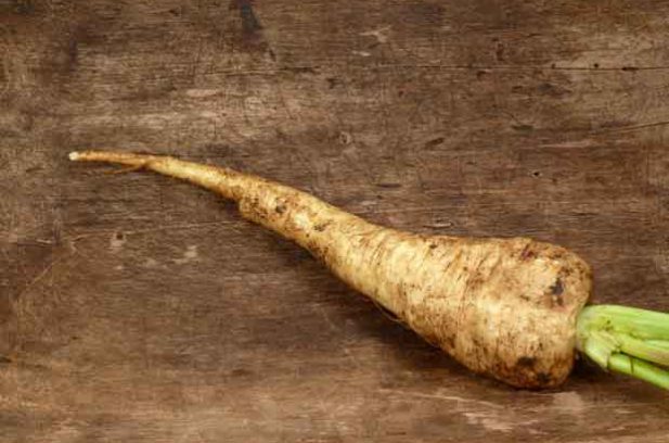 parsnip