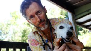 Dr Edward Bassingthwaighte administers a cannabis-based treatment to Pearl the whippet.