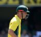 Chris Lynn has a neck injury but hopes to return for the Twenty20 series against Sri Lanka.