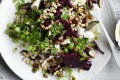 Photograph by William Meppem (GW food - july 30) Neil Perry recipe : Pickled beets with pearl barley, pepitas, feta and ...