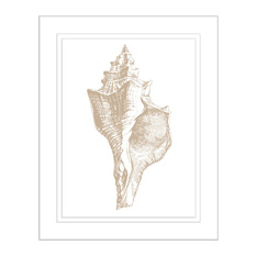 Taupe Conch Shell - Artwork