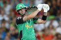 Kevin Pietersen is having a terrific season for the Stars