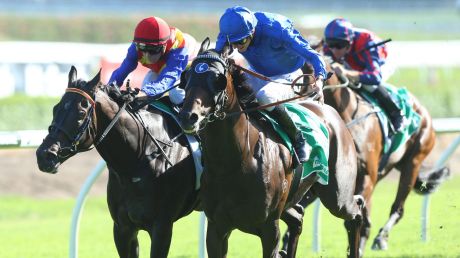 Cracking down: James Doyle rides Badajox to a win in Sydney.