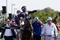 She's Invincible: Houtzen, ridden by Jeff Lloyd, returns after winning the Magic Millions Classic at the Gold Coast. 