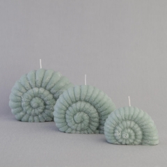 Nautilus Shell Candles Set of 3