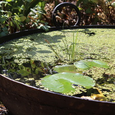 Fire Pits or Water Bowls. Genuine Old Indian Kadhai or Cooking Pot - Outdoor Fountain And Pond Accessories