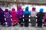 Didn't Santa have lots of reindeer? The  class from Granstubben Kindergarten, Norway, on their outing.