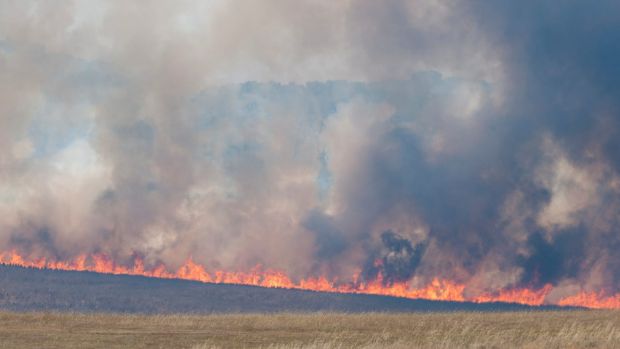 Aircraft dump water over the Tarago fire.