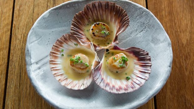 Sea scallops with miso cream.