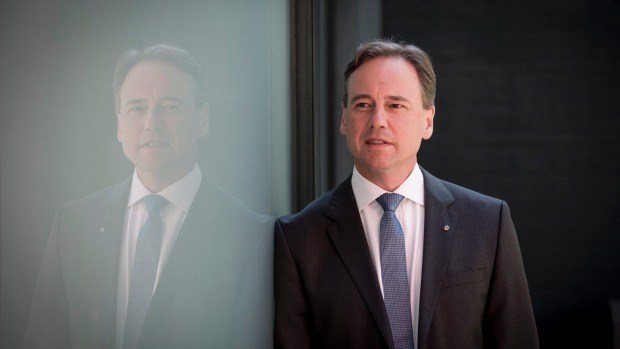 Greg Hunt is a "head down bum up" minister who should be a perfect fit.