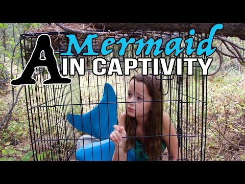 A Mermaid in Captivity (EP. 7) | A Mermaid's Journey SEASON 3