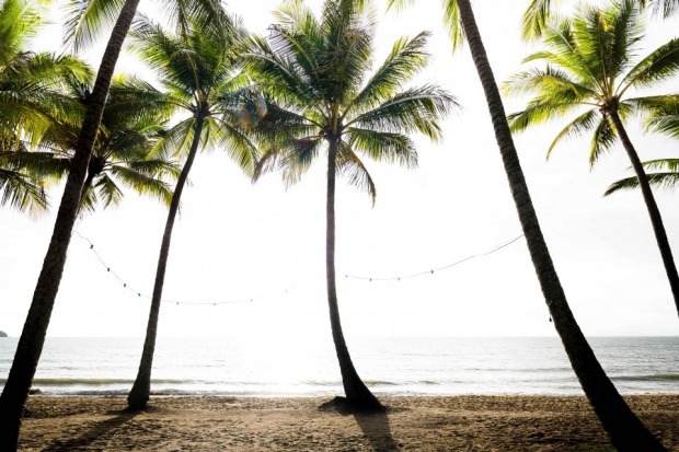 Morning light illuminates the beachfront just minutes after watching a stunning sunrise from under the palms of Palm ...