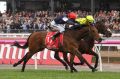 Almandin edged out Heartbreak City in a driving finish to the Melbourne Cup.