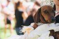 Sarah Haora with Maluka, the day's best dressed pooch.