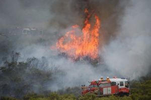 Firefighters tackle an out-of-control bushfire near Bathurst on Tuesday.