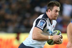 The Waratahs are looking for youngsters such as Jed Holloway to step up in 2017.