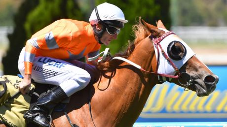 Fairytale: Brad Rawiller and Burning Front win easily at Moonee Valley.