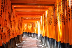 Radiant: The corridor of vermillion torii gates winding up Mount Inari.