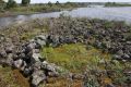 Remains of an ancient Indigenous stone house at Lake Condah, part of the Budj Bim landscape.