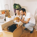 Pet-friendly rental properties are a good investment