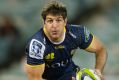 Starting for Argentina: Tomas Cubelli who played for the Brumbies in Super Rugby this year.