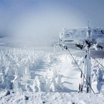 FINALIST: Field of snow monsters.