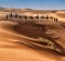 Desite being renowned for the Medina of Fez, a fascinating labyrinth, and its unique cooking tool the Tagine, the ...