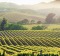 Anderson Valley, California has some big-name wineries, but its real stars are the smaller vineyards such as Handley ...
