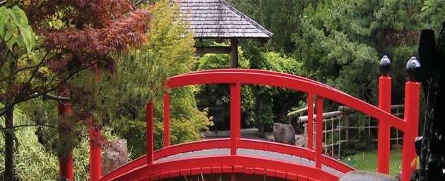 Wooden bridge set amongst trees