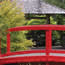 Wooden bridge set amongst trees