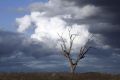 The clouds are likely to toll in across south-east Queensland on Saturday, bringing cooler temperatures, rain and a ...